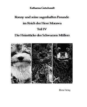 Ronny und seine sagenhaften Freunde im Reich der Hexe Morawa von Gutschmidt,  Katharina