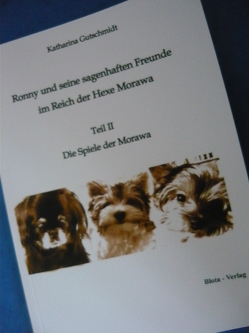 Ronny und seine sagenhaften Freunde im Reich der Hexe Morawa ( Teil II) von Gutschmidt,  Katharina