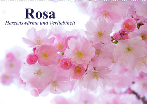 Rosa. Herzenswärme und Verliebtheit (Wandkalender 2023 DIN A2 quer) von Stanzer,  Elisabeth