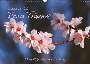 Rosa Träume – Mandelblüten im Frühling (Wandkalender 2019 DIN A3 quer) von Di Chito,  Ursula