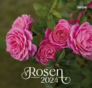 Rosen 2024