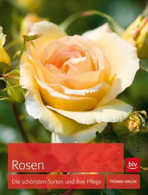 Rosen von Hagen,  Thomas