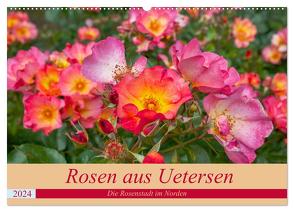 Rosen aus Uetersen (Wandkalender 2024 DIN A2 quer), CALVENDO Monatskalender von Steiner / Matthias Konrad,  Carmen