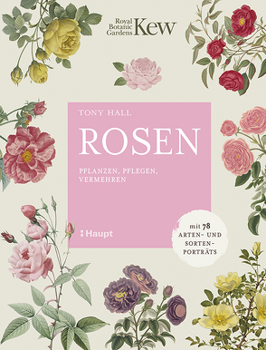 Rosen von Hall,  Tony, Krabbe,  Wiebke