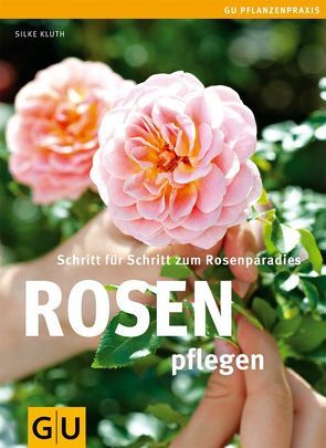 Rosen pflegen von Kluth,  Silke