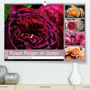 Rosen Reigen im Garten (Premium, hochwertiger DIN A2 Wandkalender 2022, Kunstdruck in Hochglanz) von Cross,  Martina