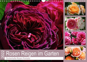 Rosen Reigen im Garten (Wandkalender 2022 DIN A3 quer) von Cross,  Martina