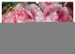 Rosen Romantik (Wandkalender 2024 DIN A3 quer), CALVENDO Monatskalender von Cross,  Martina