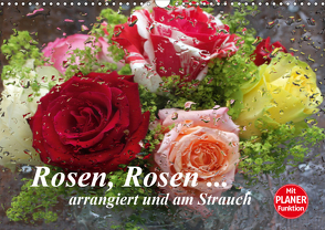 Rosen, Rosen … arrangiert und am Strauch (Wandkalender 2021 DIN A3 quer) von Kruse,  Gisela