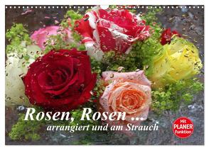 Rosen, Rosen … arrangiert und am Strauch (Wandkalender 2024 DIN A3 quer), CALVENDO Monatskalender von Kruse,  Gisela