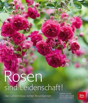 Rosen sind Leidenschaft! von Bieker,  Josef, Lagoda,  Marion, Romeis,  Ulrike