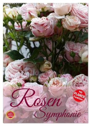 Rosen Symphonie (Wandkalender 2024 DIN A2 hoch), CALVENDO Monatskalender von Cross,  Martina