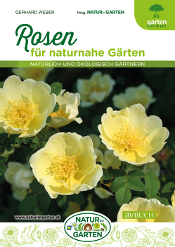 Rosen von Weber,  Gerhard