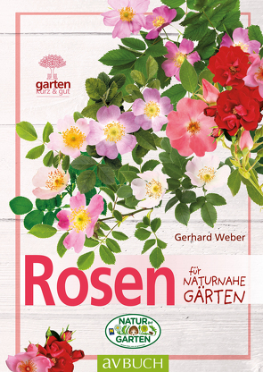 Rosen von Weber,  Gerhard