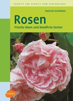 Rosen von Schultheis,  Heinrich