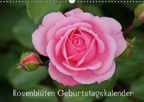 Rosenblüten / Geburtstagskalender (Wandkalender immerwährend DIN A3 quer) von Kattobello,  k.A.