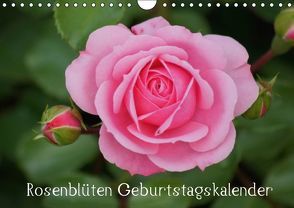 Rosenblüten / Geburtstagskalender (Wandkalender immerwährend DIN A4 quer) von Kattobello,  k.A.