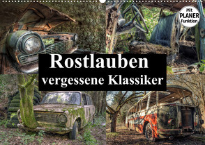 Rostlauben – vergessene Klassiker (Wandkalender 2023 DIN A2 quer) von Buchspies,  Carina