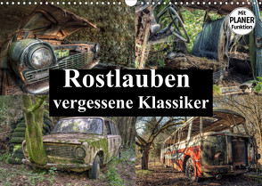 Rostlauben – vergessene Klassiker (Wandkalender 2023 DIN A3 quer) von Buchspies,  Carina