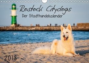 Rostock Citydogs – Der Stadthundekalender (Wandkalender 2018 DIN A4 quer) von Langer,  Jill