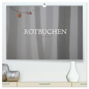 Rotbuchen (hochwertiger Premium Wandkalender 2024 DIN A2 quer), Kunstdruck in Hochglanz von Weise,  Ralf