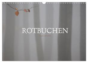 Rotbuchen (Wandkalender 2024 DIN A3 quer), CALVENDO Monatskalender von Weise,  Ralf