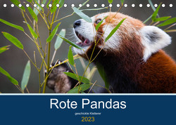 Rote Pandas – geschickte Kletterer (Tischkalender 2023 DIN A5 quer) von the Snow Leopard,  Cloudtail