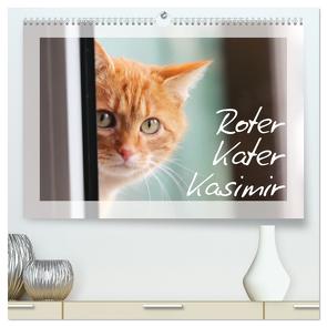 Roter Kater Kasimir (hochwertiger Premium Wandkalender 2024 DIN A2 quer), Kunstdruck in Hochglanz von Löwer,  Sabine