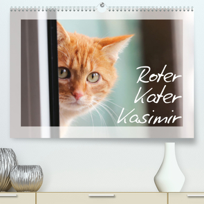 Roter Kater Kasimir (Premium, hochwertiger DIN A2 Wandkalender 2023, Kunstdruck in Hochglanz) von Löwer,  Sabine