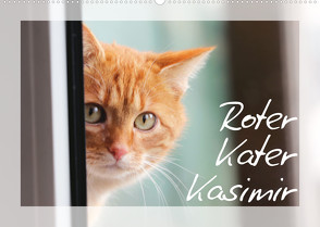 Roter Kater Kasimir (Wandkalender 2023 DIN A2 quer) von Löwer,  Sabine