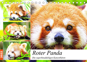 Roter Panda. Die superknuddeligen Katzenbären (Tischkalender 2022 DIN A5 quer) von Hurley,  Rose