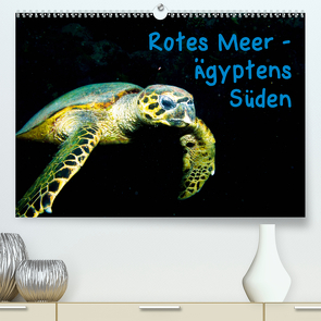 Rotes Meer – Ägyptens Süden (Premium, hochwertiger DIN A2 Wandkalender 2021, Kunstdruck in Hochglanz) von Suttrop,  Christian