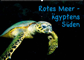 Rotes Meer – Ägyptens Süden (Wandkalender 2023 DIN A2 quer) von Suttrop,  Christian