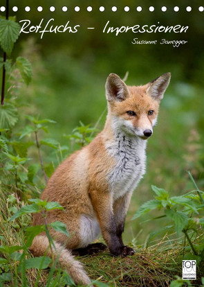 Rotfuchs – Impressionen (Tischkalender 2022 DIN A5 hoch) von Danegger,  Susanne