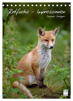 Rotfuchs – Impressionen (Tischkalender 2024 DIN A5 hoch), CALVENDO Monatskalender von Danegger,  Susanne