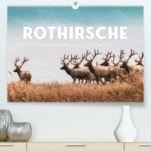 Rothirsche – Die imposanten Könige der Wälder. (Premium, hochwertiger DIN A2 Wandkalender 2023, Kunstdruck in Hochglanz) von SF