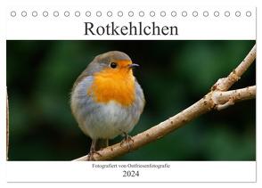 Rotkehlchen – Fotografiert von Ostfriesenfotografie (Tischkalender 2024 DIN A5 quer), CALVENDO Monatskalender von Betten - Ostfriesenfotografie,  Christina