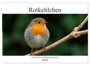 Rotkehlchen – Fotografiert von Ostfriesenfotografie (Wandkalender 2024 DIN A2 quer), CALVENDO Monatskalender von Betten - Ostfriesenfotografie,  Christina