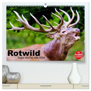 Rotwild. Edle Hirsche, stolze Kühe (hochwertiger Premium Wandkalender 2024 DIN A2 quer), Kunstdruck in Hochglanz von Stanzer,  Elisabeth