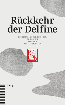 Rückkehr der Delfine von Di Blasi,  Johanna, Jütte,  Stephan, Schmid,  Manuel, Zacchei,  Luca