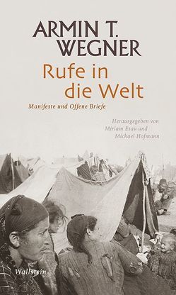 Rufe in die Welt von Esau,  Miriam, Hofmann,  Michael, Wegner,  Armin T.