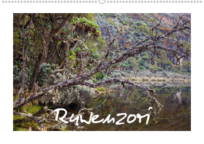 Ruwenzori (Wandkalender 2020 DIN A2 quer) von Buschardt,  Boris