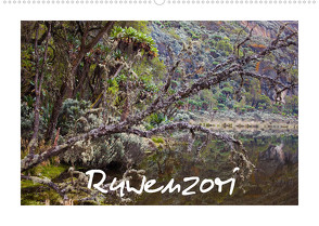 Ruwenzori (Wandkalender 2022 DIN A2 quer) von Buschardt,  Boris