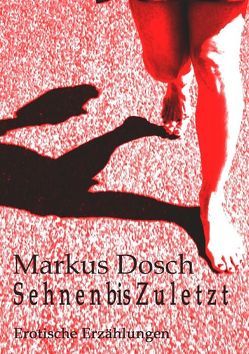 S e h n e n  bis Z u l e t z t von Dosch,  Markus