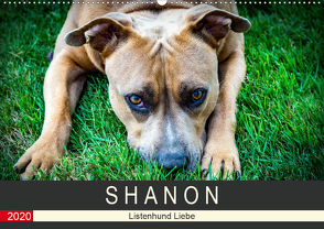 S H A N O N – Listenhund Liebe (Wandkalender 2020 DIN A2 quer) von Lichtwerfer