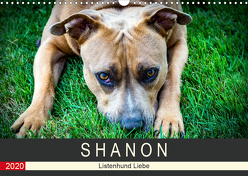 S H A N O N – Listenhund Liebe (Wandkalender 2020 DIN A3 quer) von Lichtwerfer