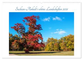 Sachsen-Anhalt’s schöne Landschaften (Wandkalender 2024 DIN A2 quer), CALVENDO Monatskalender von Graf,  Uwe