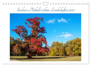 Sachsen-Anhalt’s schöne Landschaften (Wandkalender 2024 DIN A4 quer), CALVENDO Monatskalender von Graf,  Uwe