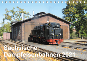 Sächsische Dampfeisenbahnen 2021 (Tischkalender 2021 DIN A5 quer) von Pfetzing,  Markus