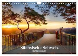 Sächsische Schweiz – Impressionen (Wandkalender 2024 DIN A4 quer), CALVENDO Monatskalender von Meutzner,  Dirk